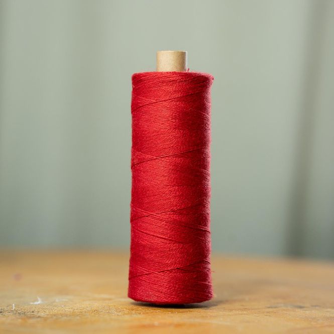 Hovedbilde 16/1 LIN F. 1007